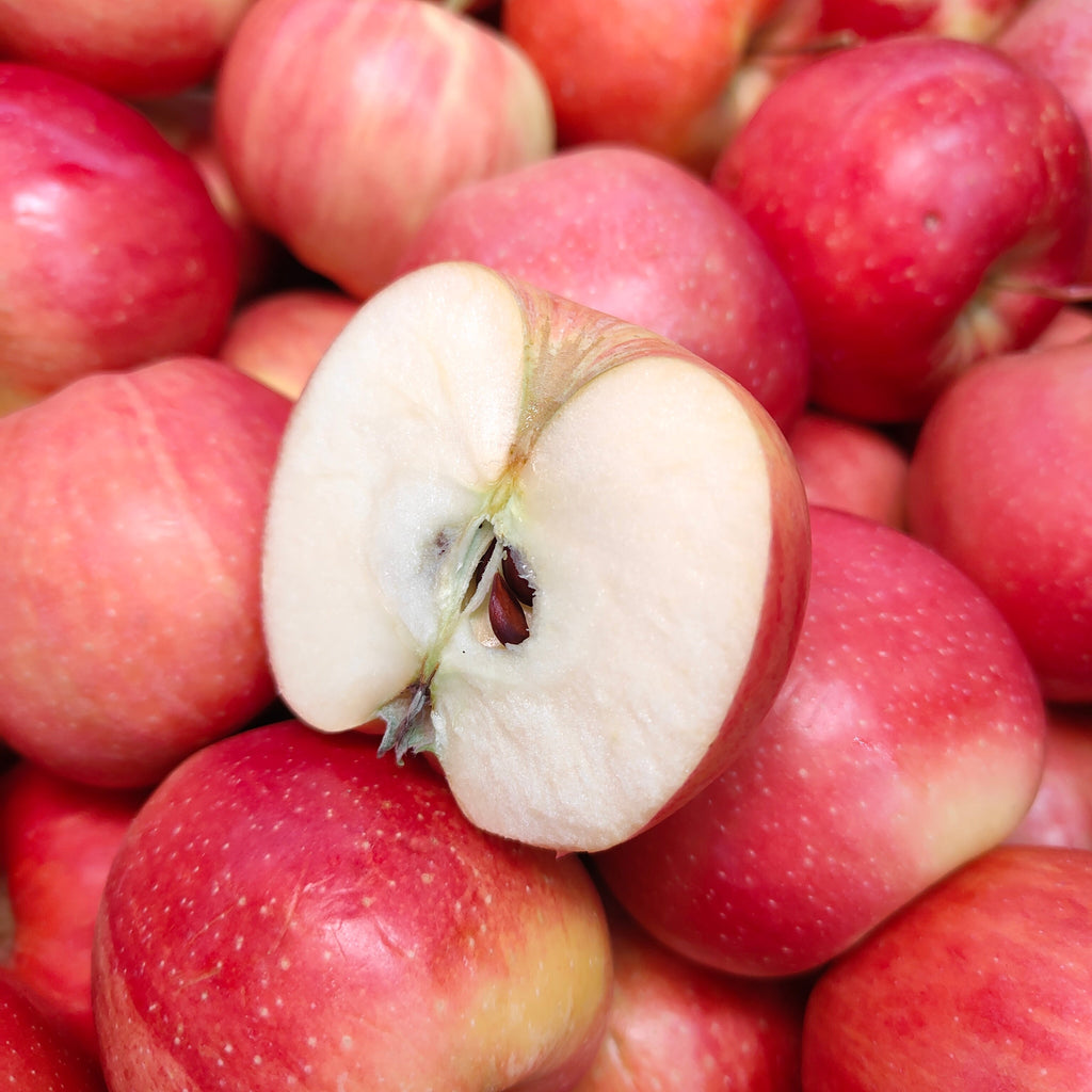 Turkey Gala Apple (S) [10 Pcs]-Apples Pears-MBG Fruit Shop