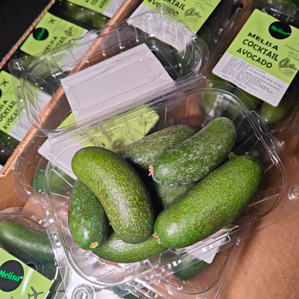 Turkey Melisa Cocktail Avocado [250G/Pack}-MBG Fruit Shop