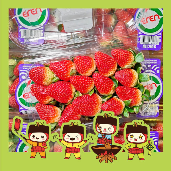 Turkiye Strawberry [250G/Pack]-Berries-MBG Fruit Shop