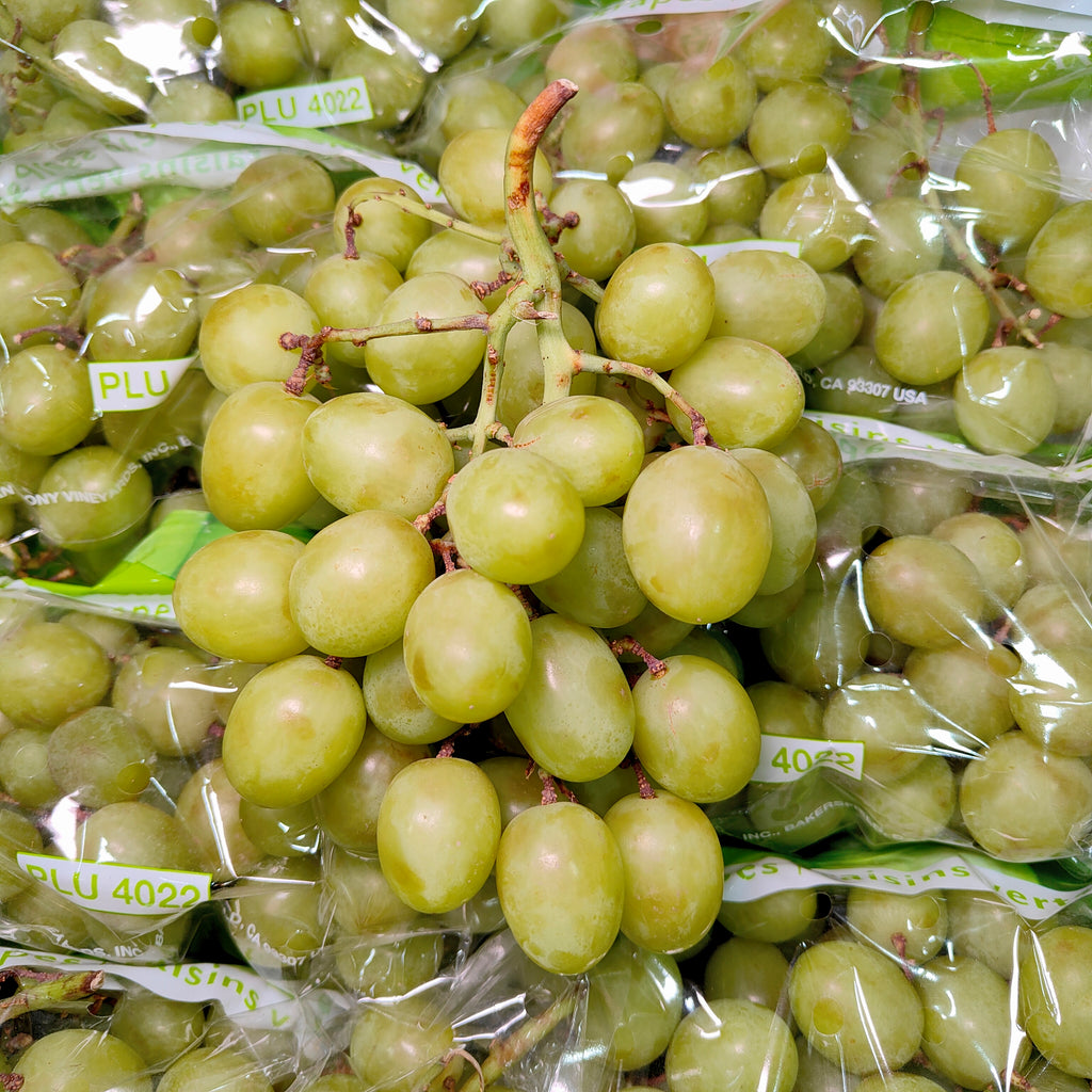 USA Autumn Crisp Green Grape [500G/Pack]-Grapes-MBG Fruit Shop