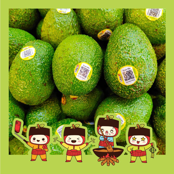 USA Hass Avocado (S) [3pcs]-Stone Fruit-MBG Fruit Shop
