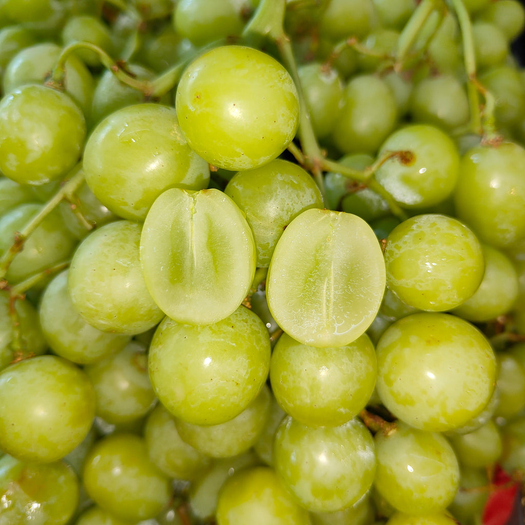 Australia Ivory Grape [500G/Pack]-Grapes-MBG Fruit Shop