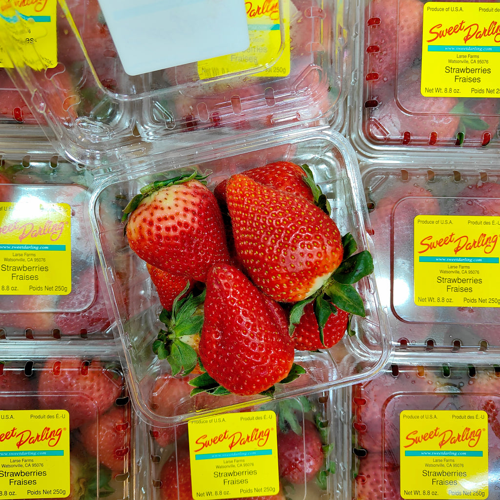 USA Strawberry [250G/Pack]-Berries-MBG Fruit Shop