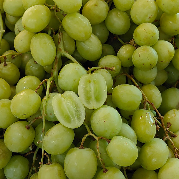 USA Sweet Globe Green Grapes [500G/Pack]-Grapes-MBG Fruit Shop