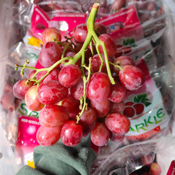 USA Sweet Sparkle Red Grapes [500G/Pack]-Grapes-MBG Fruit Shop