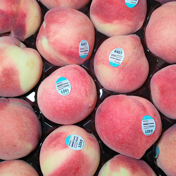 USA White Peach [1 Pc]-Common Fruits-MBG Fruit Shop