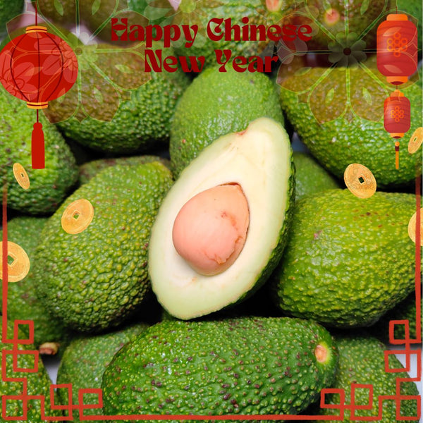 Uganda Hass Avocado (M) [4 Pcs]-Stone Fruits-MBG Fruit Shop