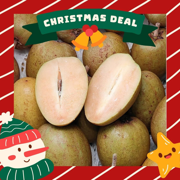 Vietnam Ciku [+/-1.0Kg]-Exotic Fruits-MBG Fruit Shop