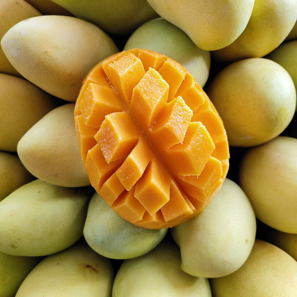 Vietnam Mango Susu Gold (M) [+/-1.0Kg]-Exotic Fruits-MBG Fruit Shop