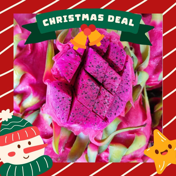 Vietnam Red Dragon Fruit (M) [3 Pcs]-Exotic Fruits-MBG Fruit Shop