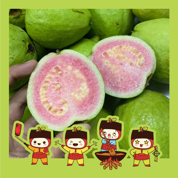 Vietnam Red Guava (M) [+/-1.0Kg]-Exotic Fruits-MBG Fruit Shop