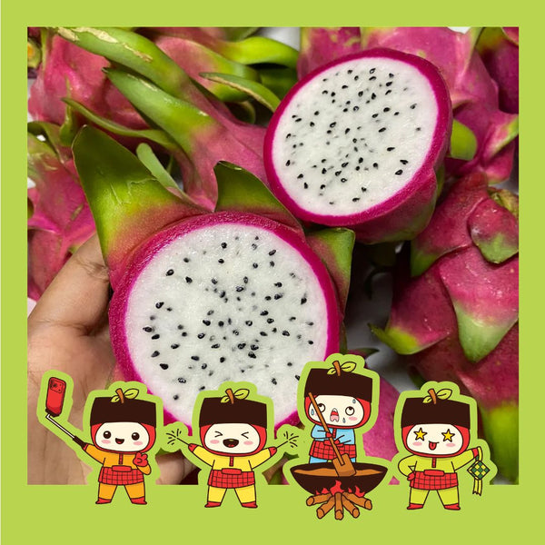 Vietnam White Dragon Fruit (L) [3 Pcs]-TropicalExotic8-MBG Fruit Shop