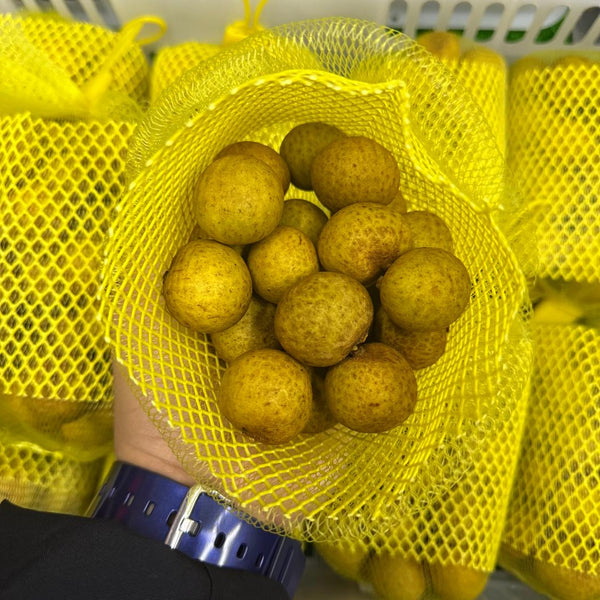 Vietnam Longan [500g/pack]