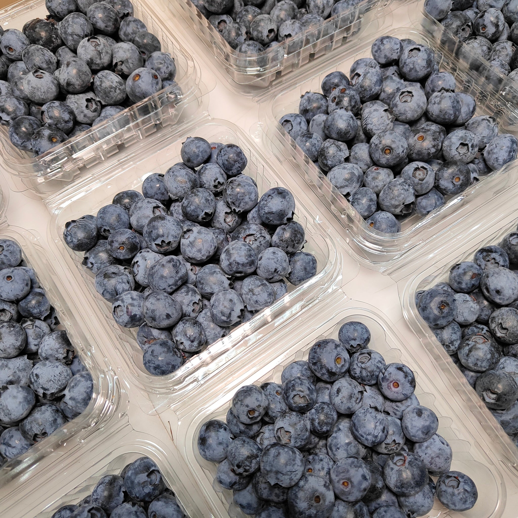 Zimbabwe Blueberry [125g/pack] MBG Fruit Shop