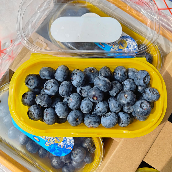 China Blueberry Jumbo [200G/Pack]-Berries-MBG Fruit Shop
