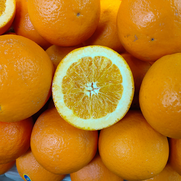 China Orange Navel (L) [5 Pcs]