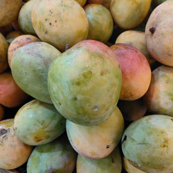 Thailand Mango R2E2 [+/-1.2kg]-Exotic Fruits-MBG Fruit Shop