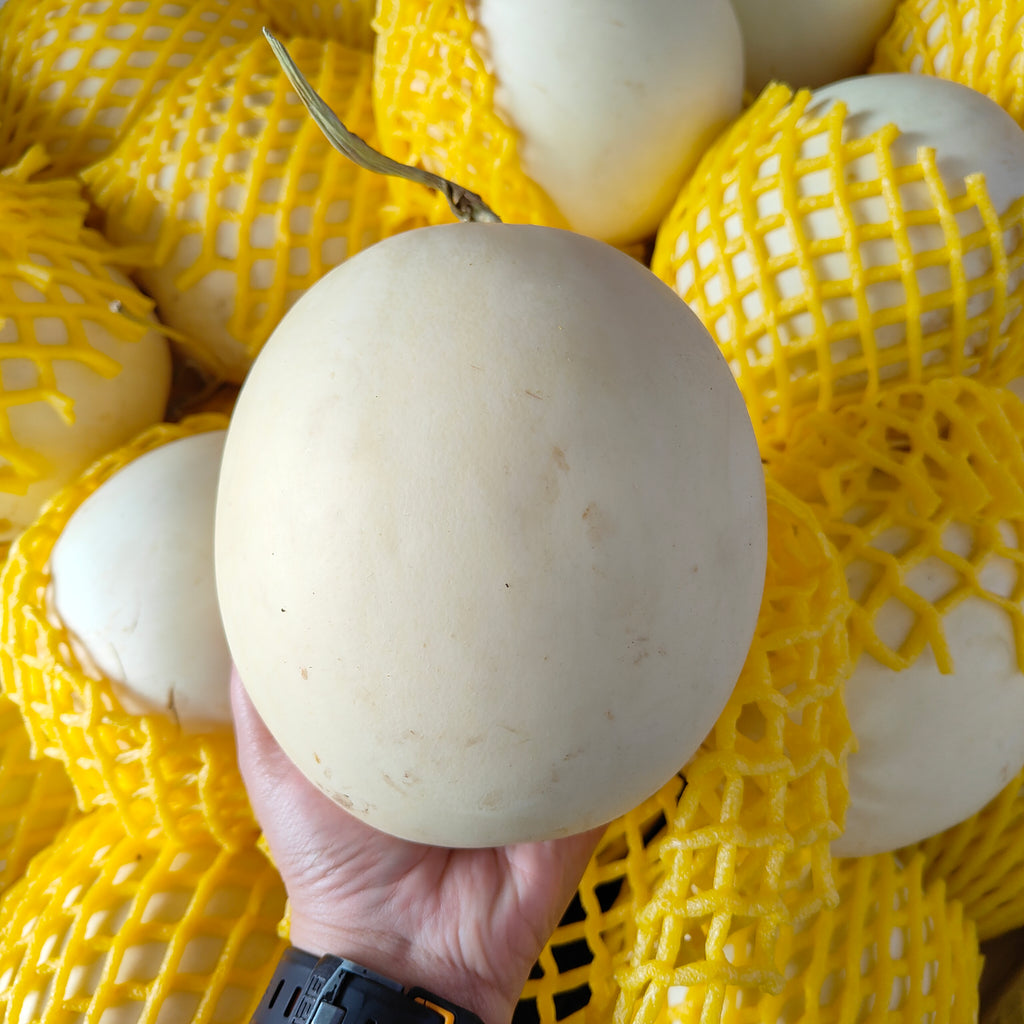 Thailand Cantaloupe [+/-1kg]-TropicalExotic8-MBG Fruit Shop