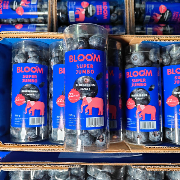 South Africa Super Jumbo Blueberry [200G/Pack]-Berries-MBG Fruit Shop