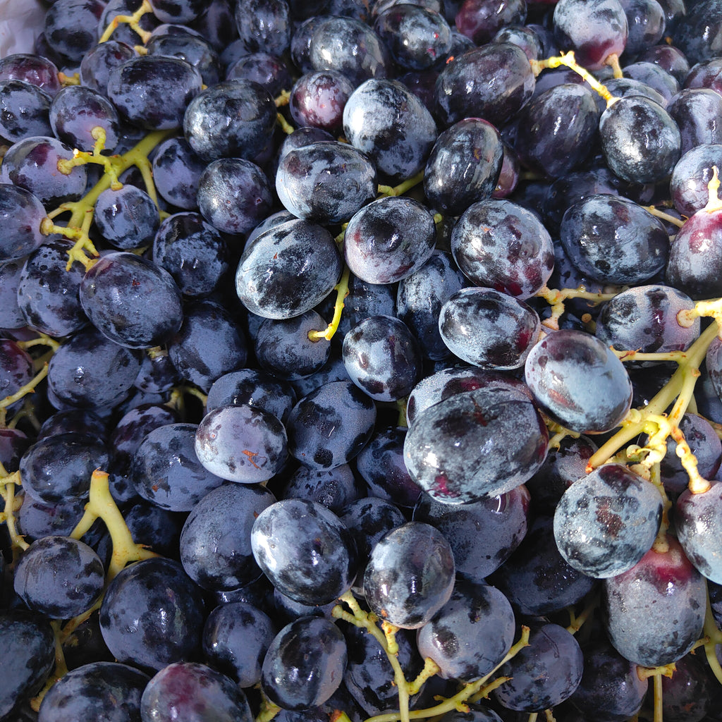 Australia Adora Seedless Black Grape [900G]-Grapes-MBG Fruit Shop