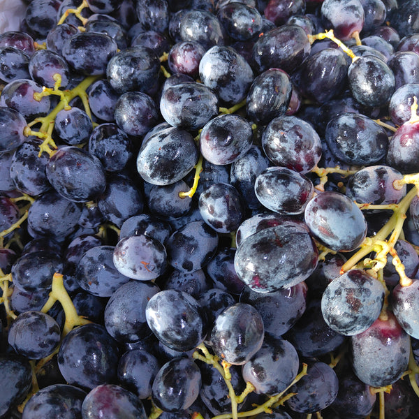 Australia Adora Seedless Black Grape [900G]