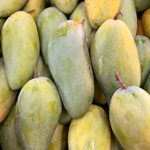Thailand Kim Ling Green Mango (+/-1.5Kg)-Exotic Fruits-MBG Fruit Shop