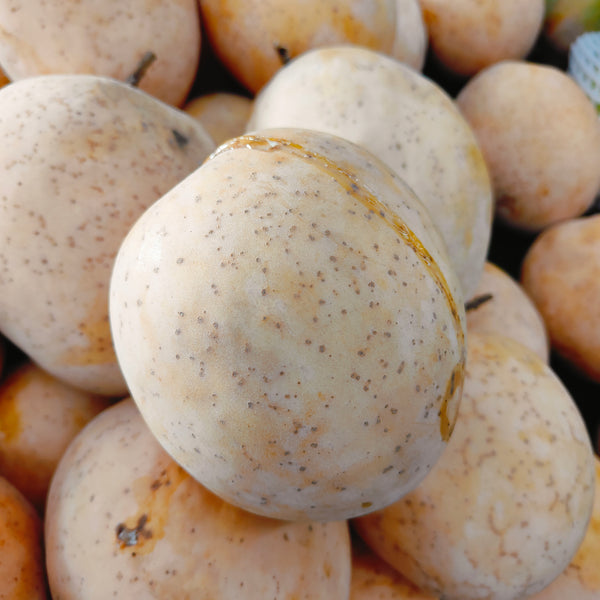 Thailand Mango Gold R2E2 [+/-1.5kg]-Exotic Fruits-MBG Fruit Shop