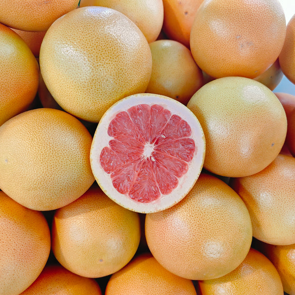 South Africa Grapefruit (L) [5pcs]