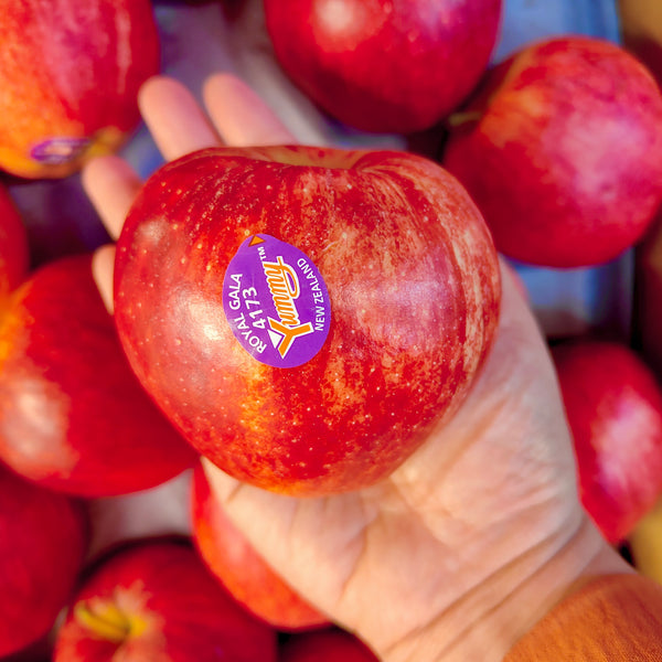 New Zealand Gala Apple (M) [5pcs]-Apples Pears-MBG Fruit Shop