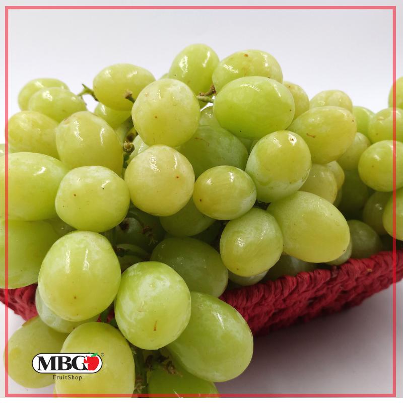 Australia Champisi Green Grape [800g/Pack]-Grapes-MBG Fruit Shop