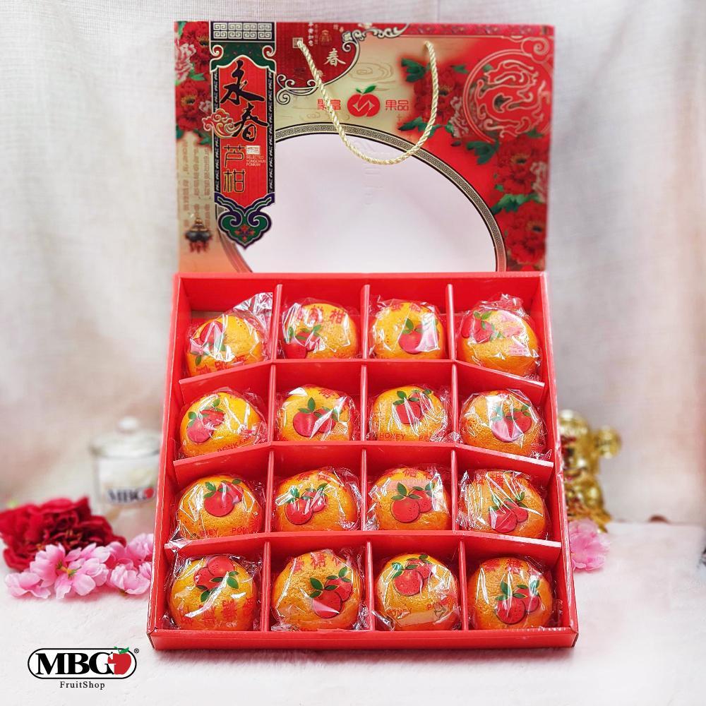 CNY03 Yong Chun Mandarin XL Gift Box [16Pcs/Pack]-CNY Special-MBG Fruit Shop
