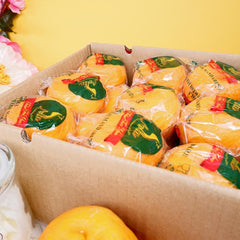 Xonanda Sara Konnor yalangoch Tarbiyaviy porno onlayn tomosha qiling