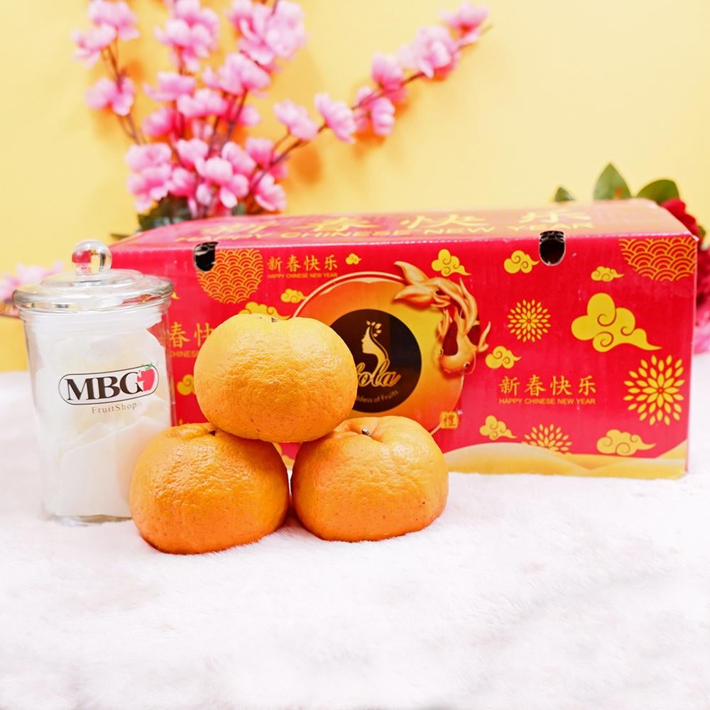 China Fola Lokam Orange XL [23Pcs/Pack]-CNY Special-MBG Fruit Shop