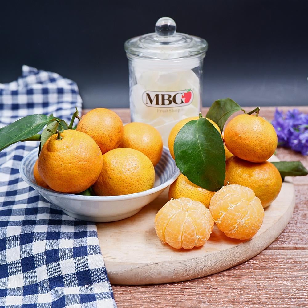 China Honey Mandarin (600g/Pack)-Citrus-MBG Fruit Shop