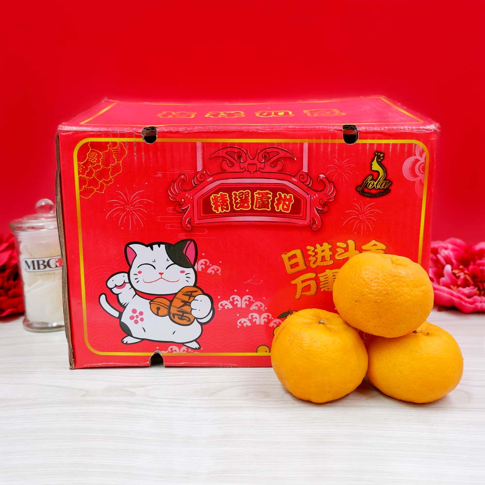 China Lokam Orange L Box (48Pcs/Pack)-CNY Special-MBG Fruit Shop