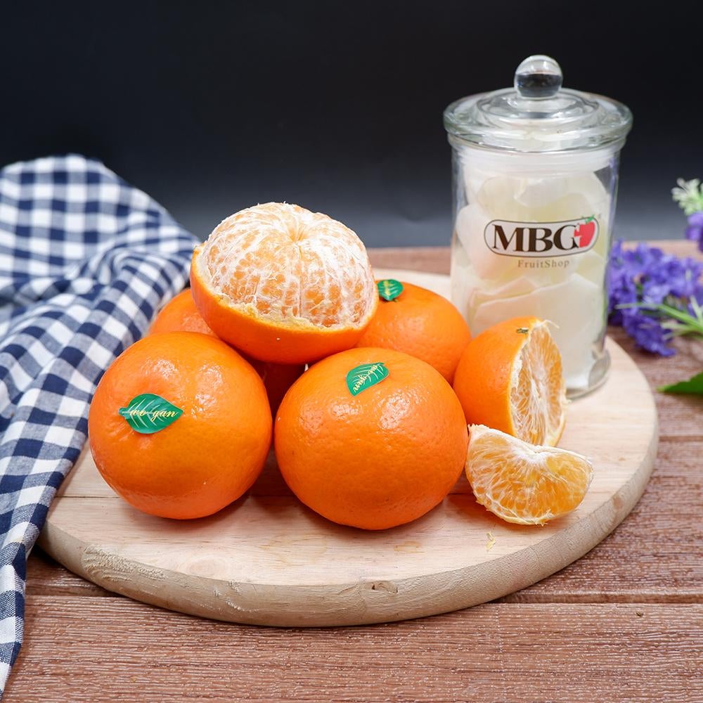 China Orah Orange-Citrus-MBG Fruit Shop