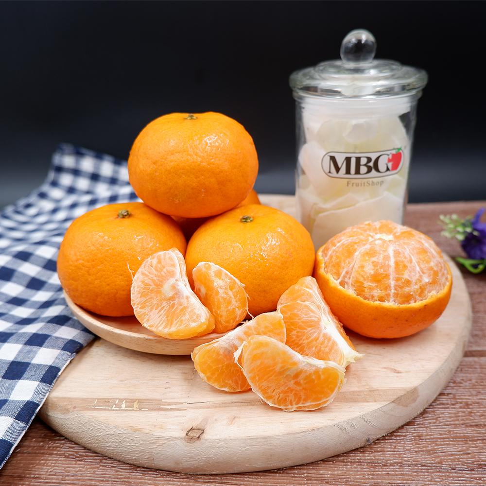 Egypt Honey Murcott Mandarin (M) [5Pcs/Pack]-Citrus-MBG Fruit Shop