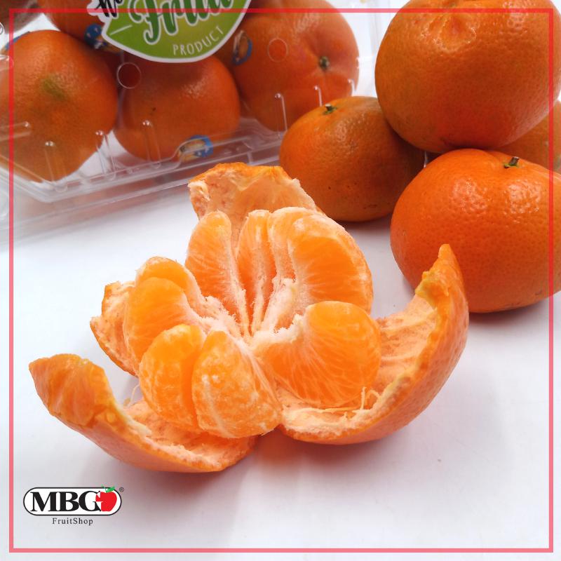 Egypt Honey Murcott Mandarin (S)-Citrus-MBG Fruit Shop