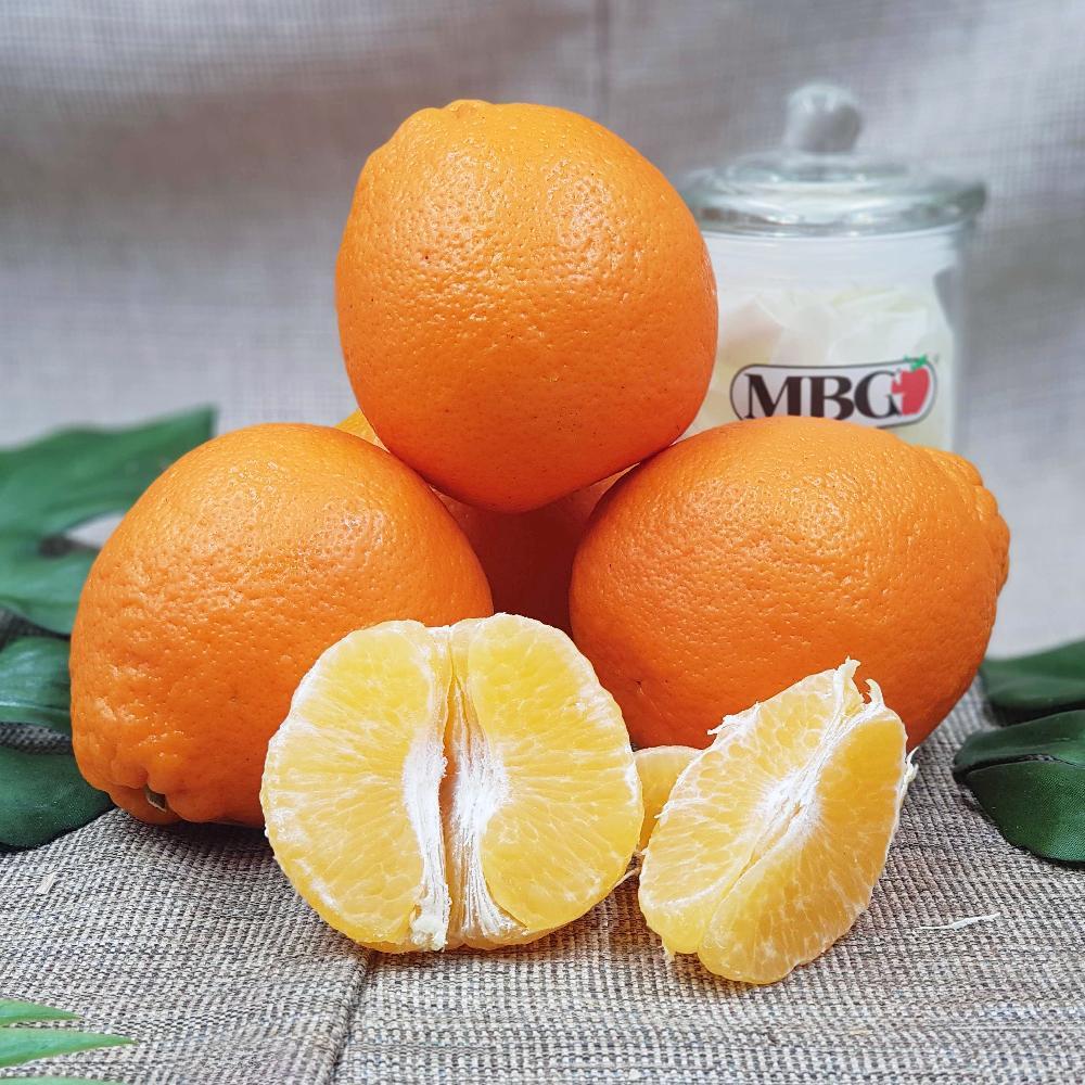 Egypt Minneloa Mandarin L [10Pcs/Pack]-Citrus-MBG Fruit Shop