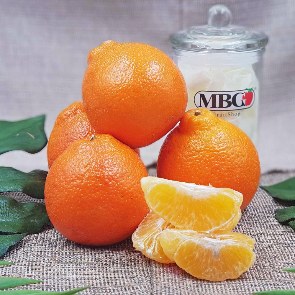 Egypt Minneloa Mandarin M [10Pcs/Pack]-Citrus-MBG Fruit Shop