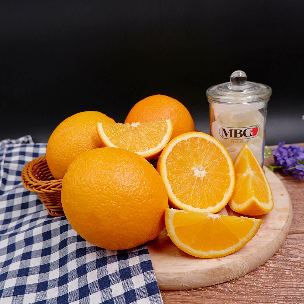 Egypt Orange Late Navel (XL)-Citrus-MBG Fruit Shop