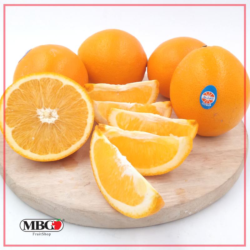 Egypt Orange Navel (XL)-Citrus-MBG Fruit Shop