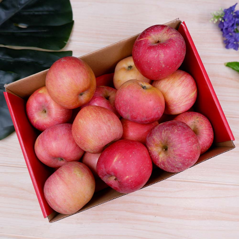 Fruitify Minibox-Fruit Box Juicing-MBG Fruit Shop