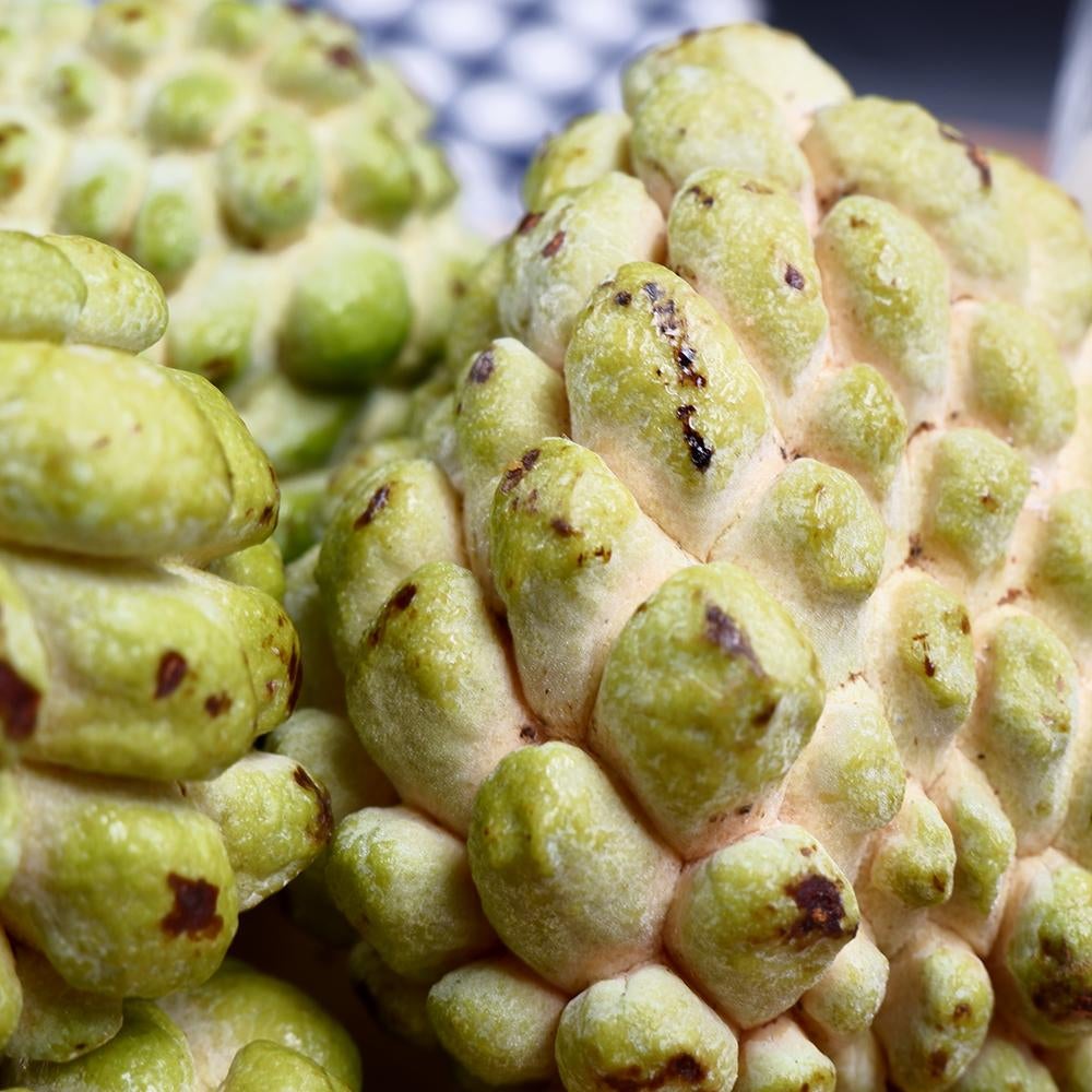 Lebanon Custard Apple MBG Fruit Shop
