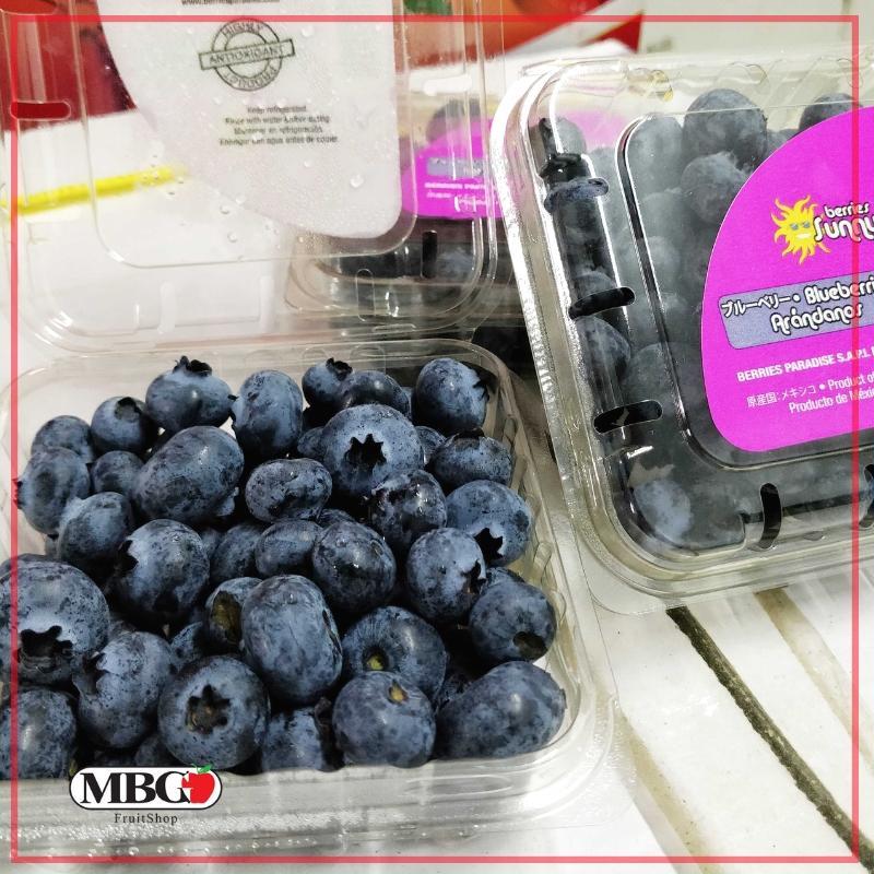 Mexico Jumbo Blueberry [125g/Pack]-Berries-MBG Fruit Shop