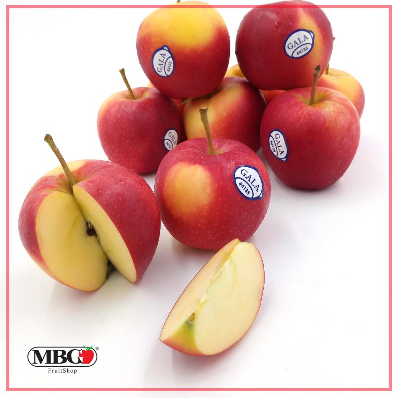 Poland Gala Apple (XS)-Apples Pears-MBG Fruit Shop
