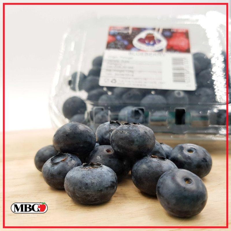 Portugal Blueberry [125g/Pack]-Berries-MBG Fruit Shop