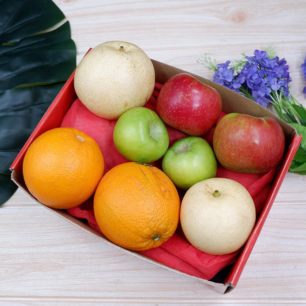 Primary Mini Fruit Box-Fruit Box-MBG Fruit Shop