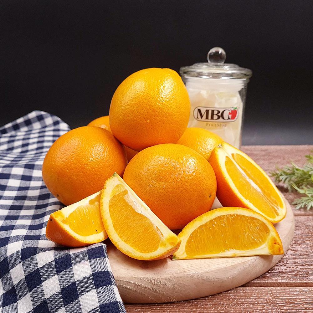 South Africa Cambria Orange Navel (S)-Citrus-MBG Fruit Shop