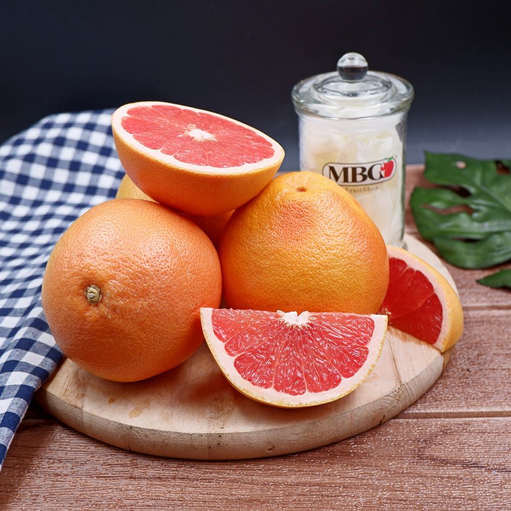 South Africa Grapefruit (XL)-Citrus-MBG Fruit Shop